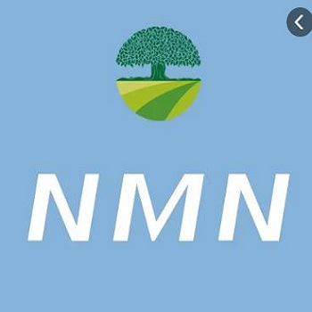 Подробная информация о десятке международных основных стандартов для управления качеством W+NMN